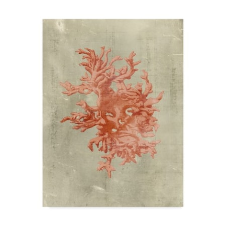 Vision Studio 'Coral In Terra Cotta' Canvas Art,18x24